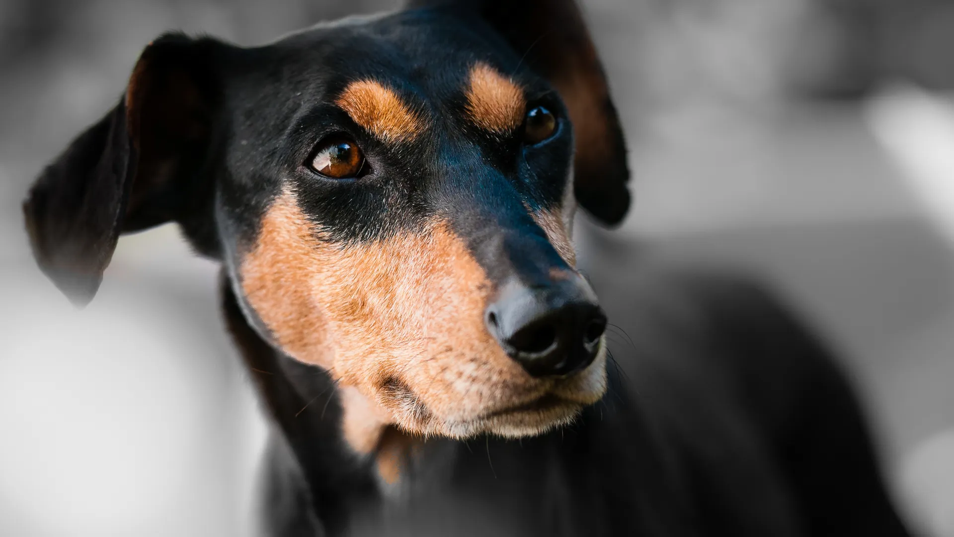 фото: pxhere.com