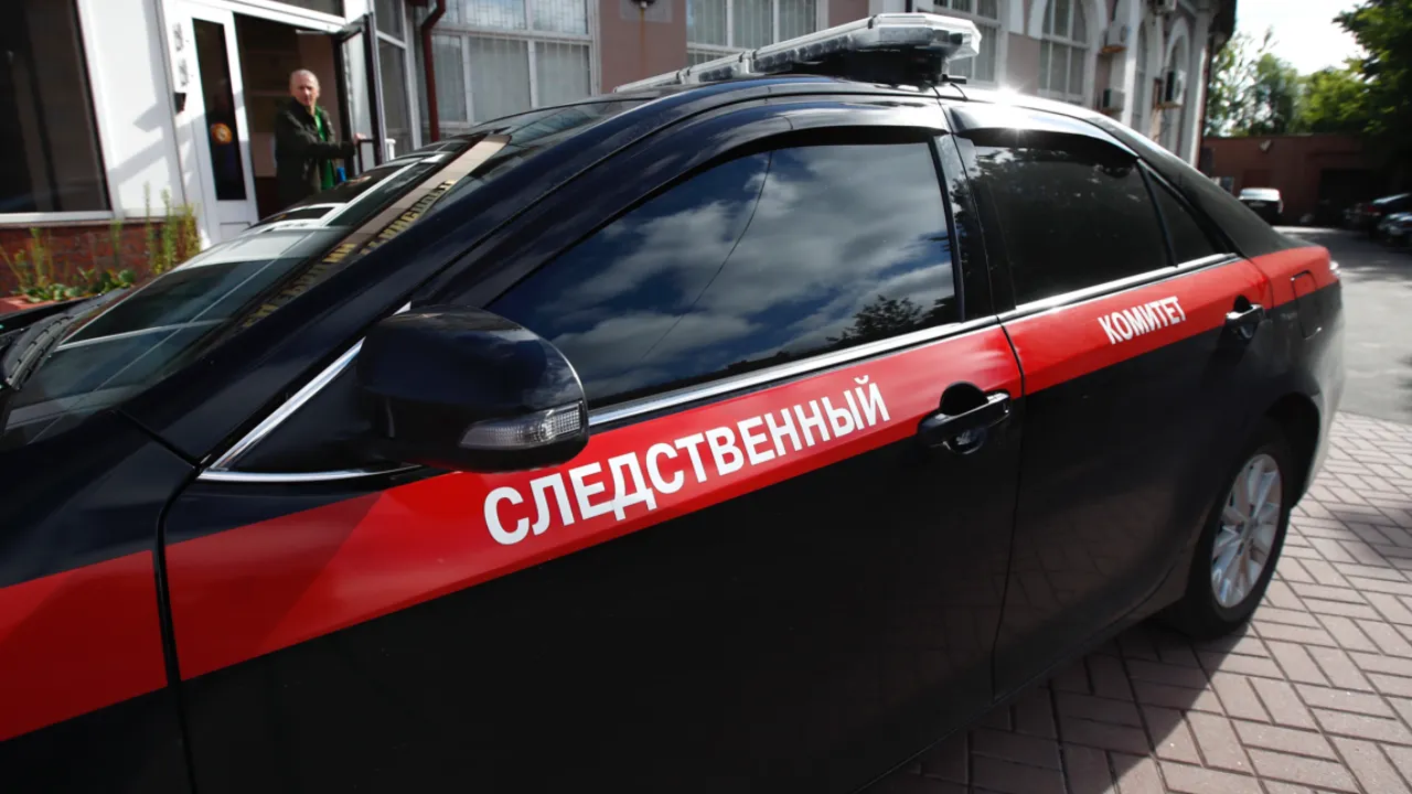 «Вот так и выходи погулять с собачкой»: питомец навел хозяина на отрубленную человеческую голову