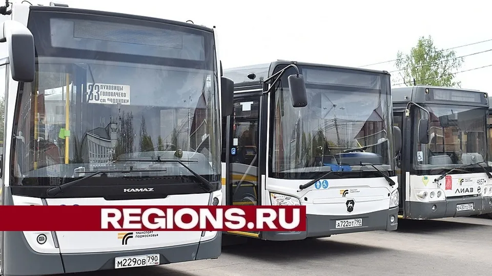 Фото: Александр Дрожжин