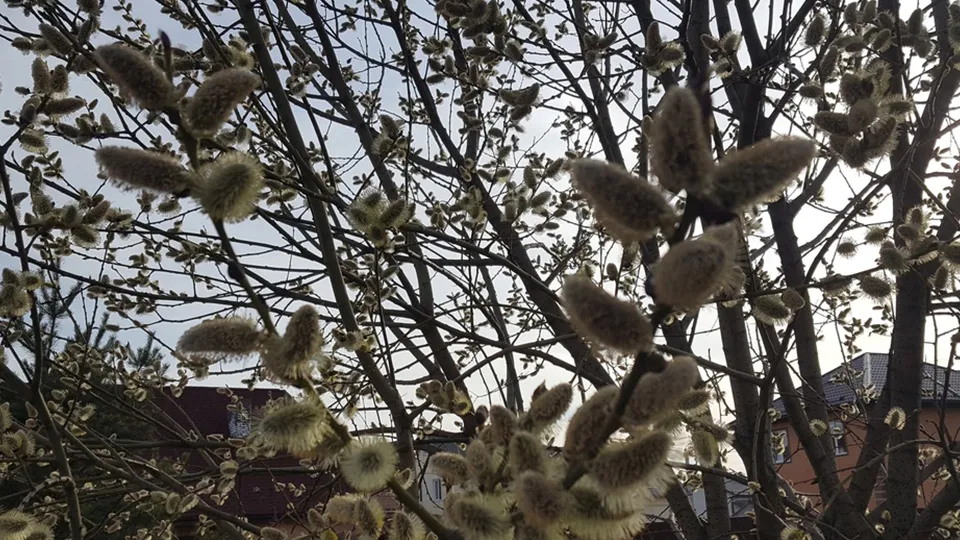 Фото: Артур Лавряшин