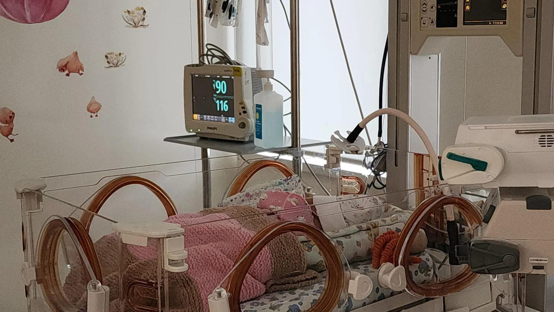 В. Соловьёва