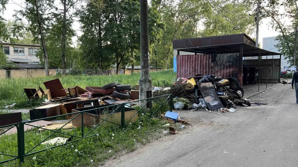 Фото: соцсети