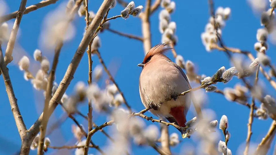 Фото: Анатолий Панков