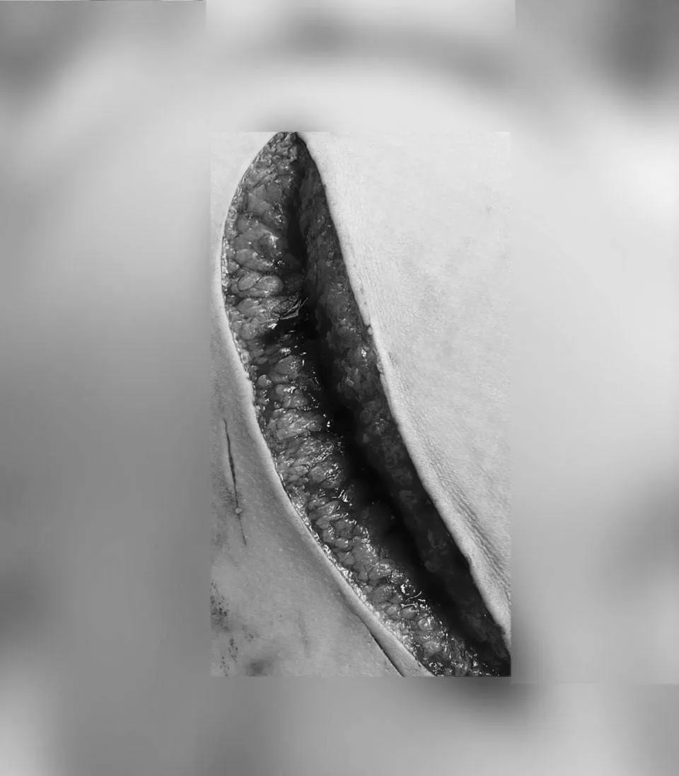 Фото: Минздрав МО