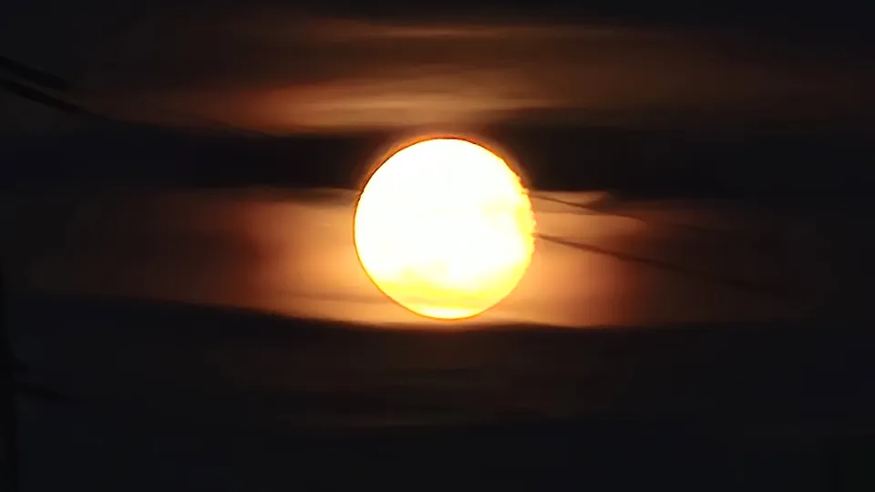 Фото: МедиаБанк Подмосковья/Михаил Мартыненко