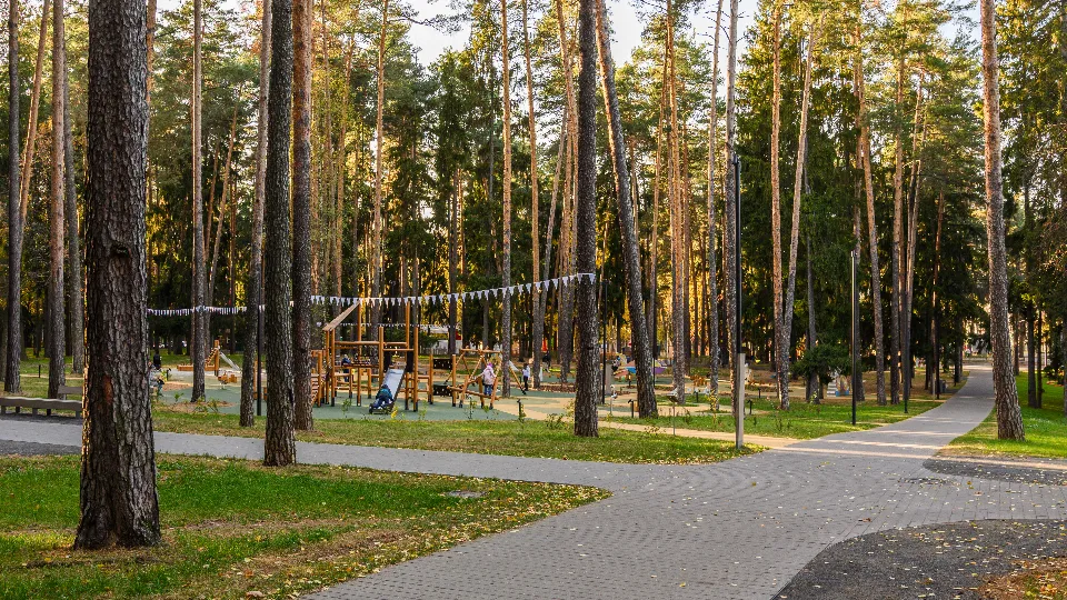 Фото: медиасток.рф