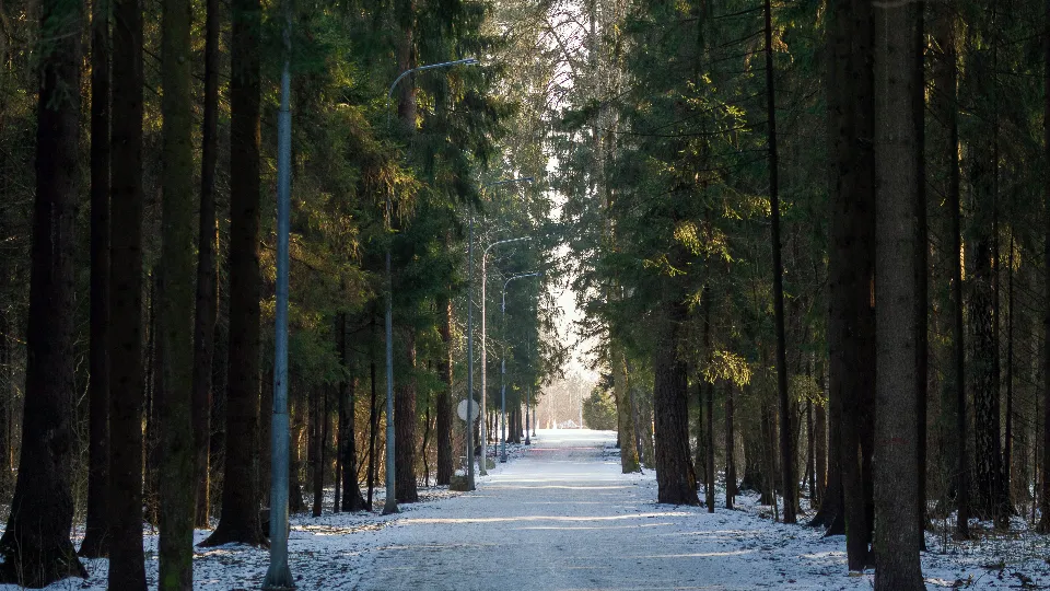 Фото: пресс-служба администрации городского округа Балашиха