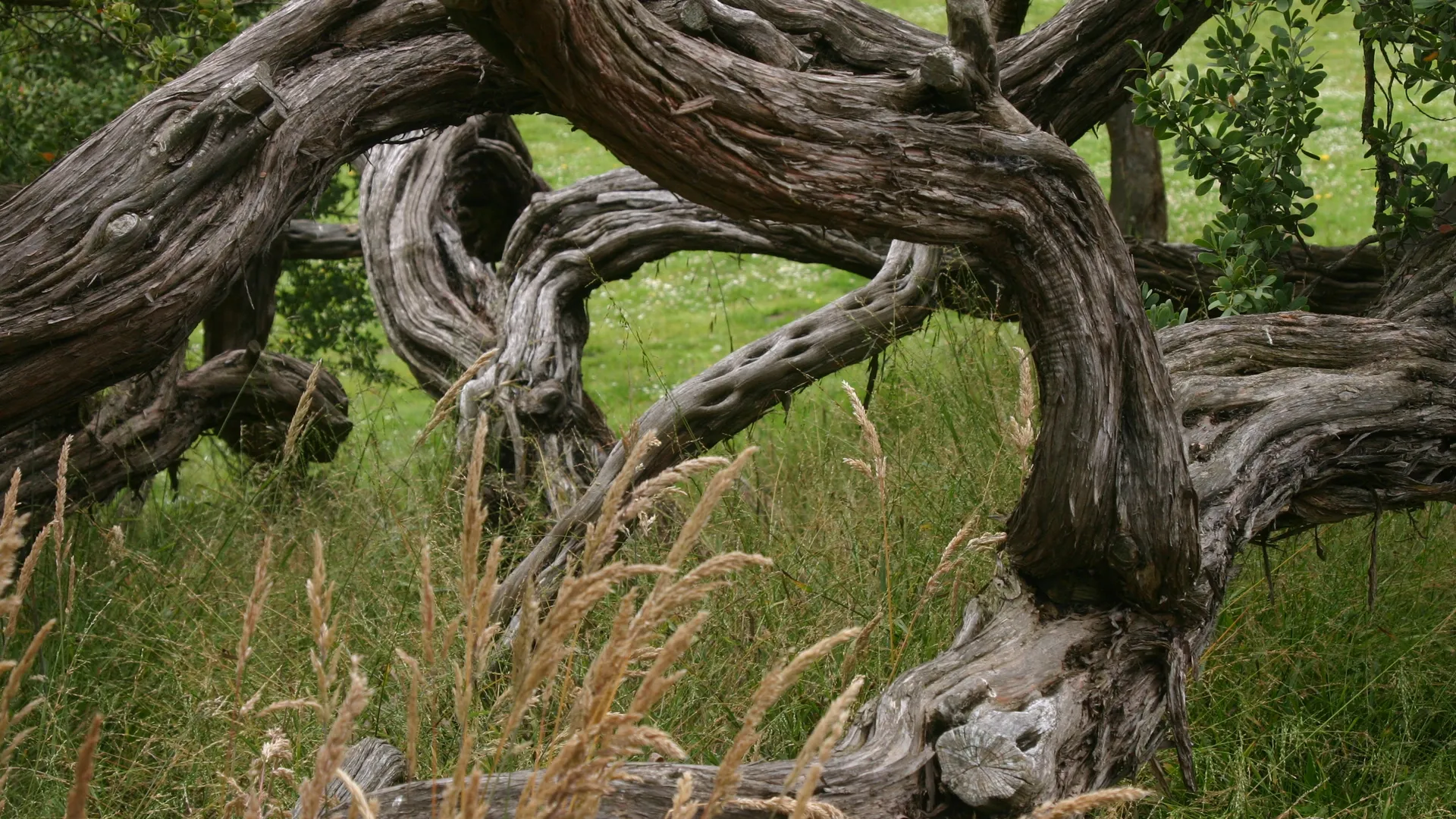 Источник: Freepik