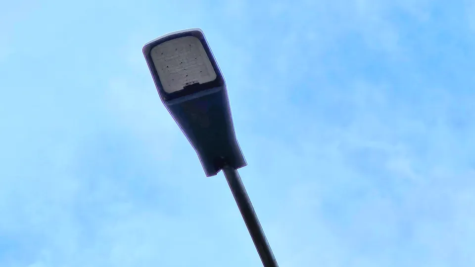 Фото: МедиаБанк Подмосковья/Вероника Горбачева