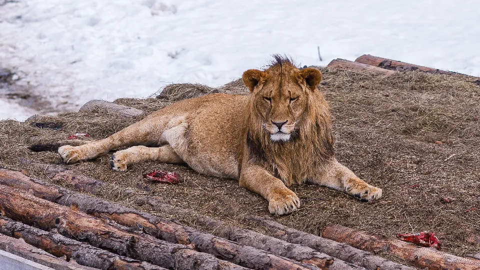 Фото: медиасток.рф