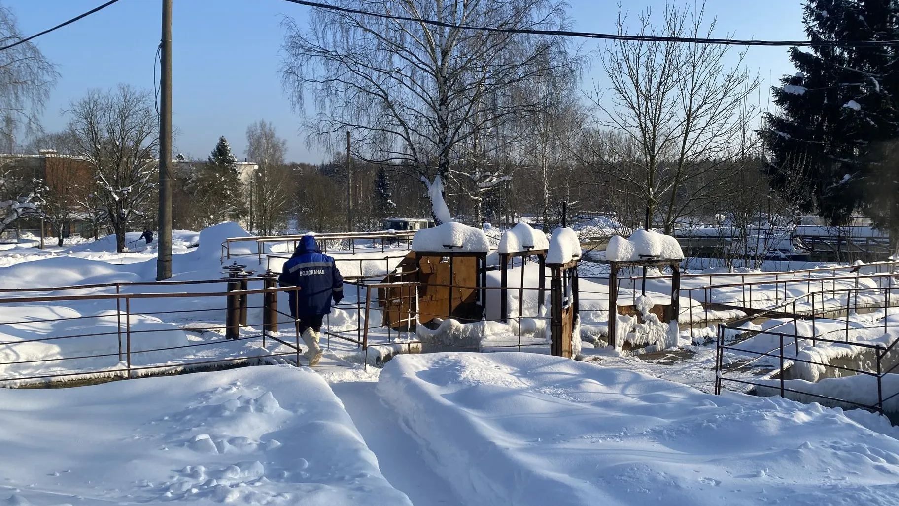 Анна Артюшина