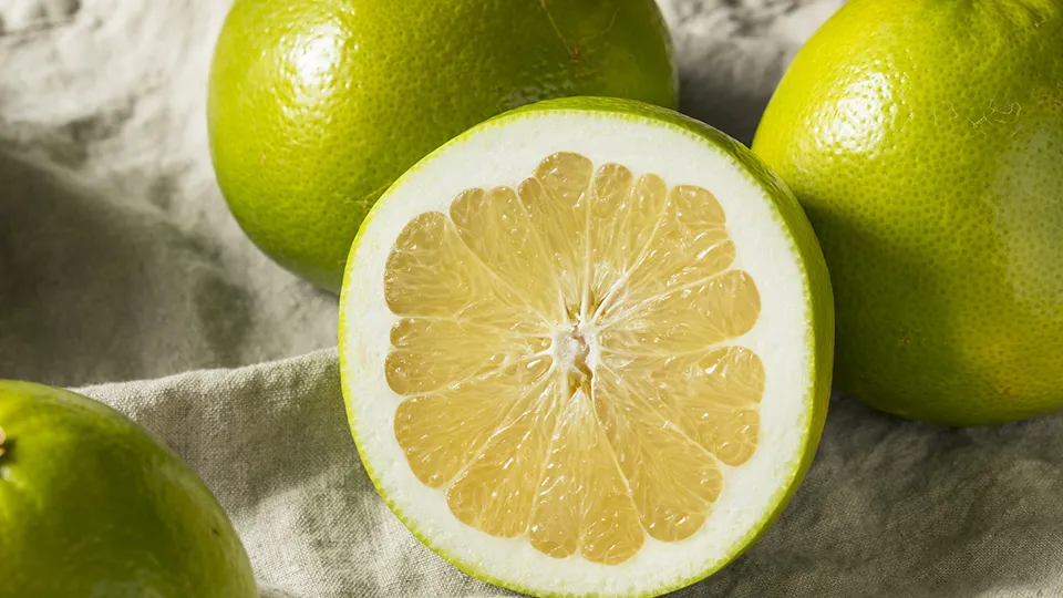 Фото: istockphoto.com/bhofack2