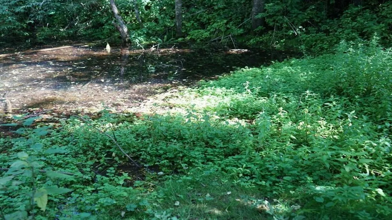 Фото: Минэкологии МО