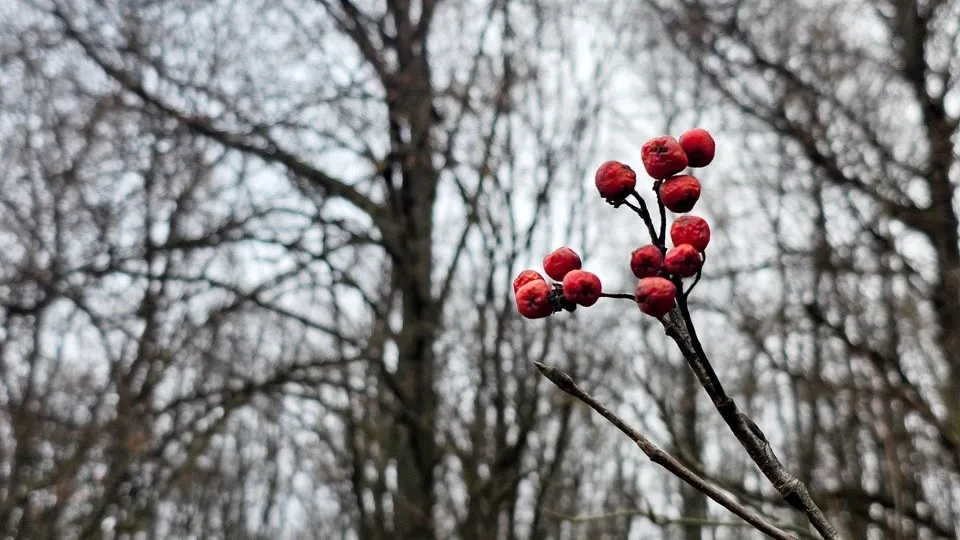 Фото: REGIONS/Александр Дрожжин