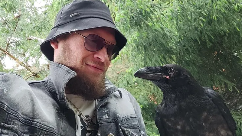 Заводчик хищных птиц не теряет надежды найти любимого ворона под Пушкино