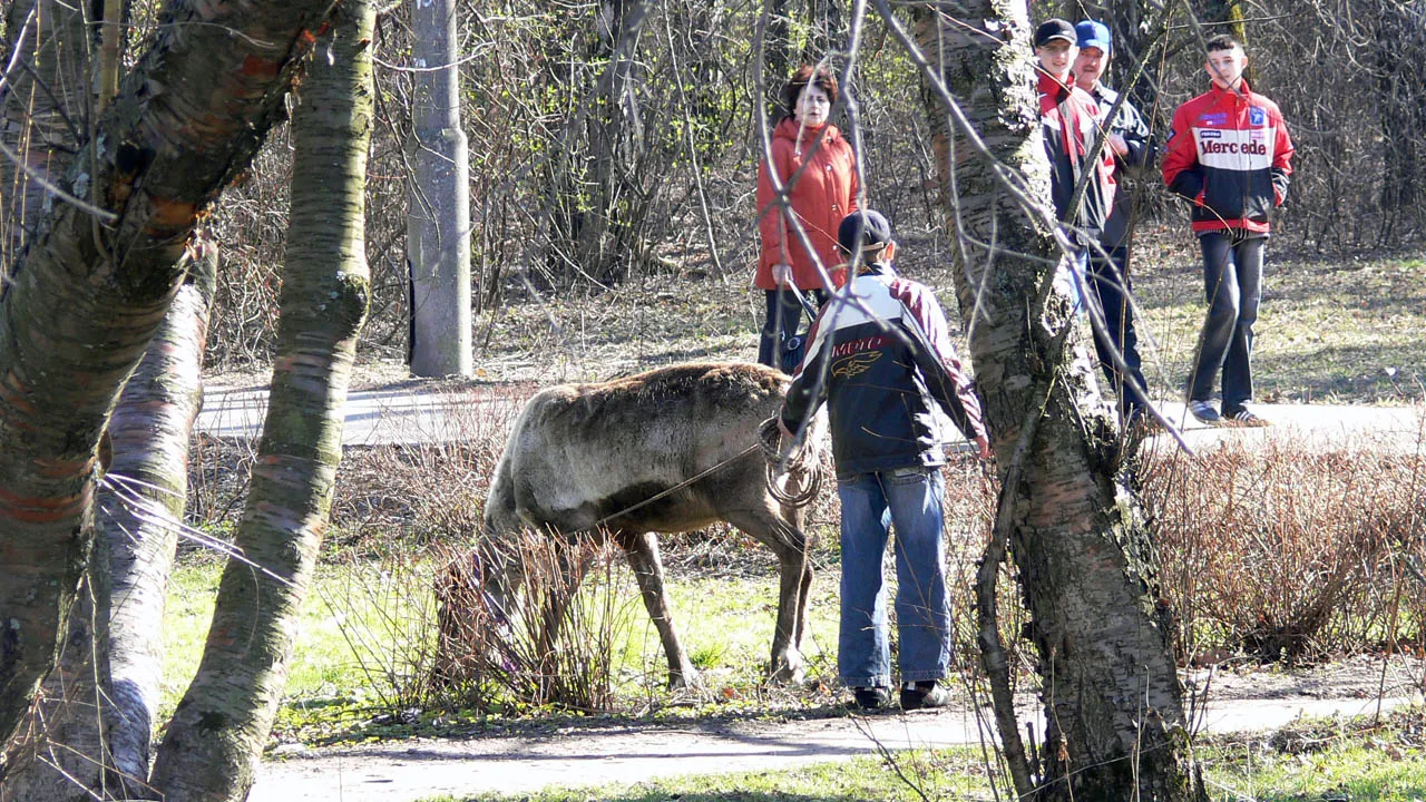 Фото: Дмитрий Кравцов