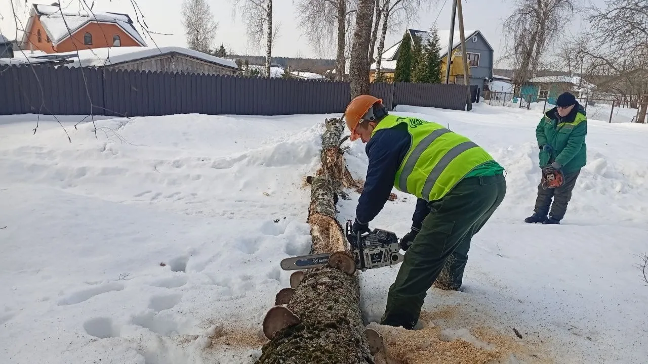 Егорьевское лесничество