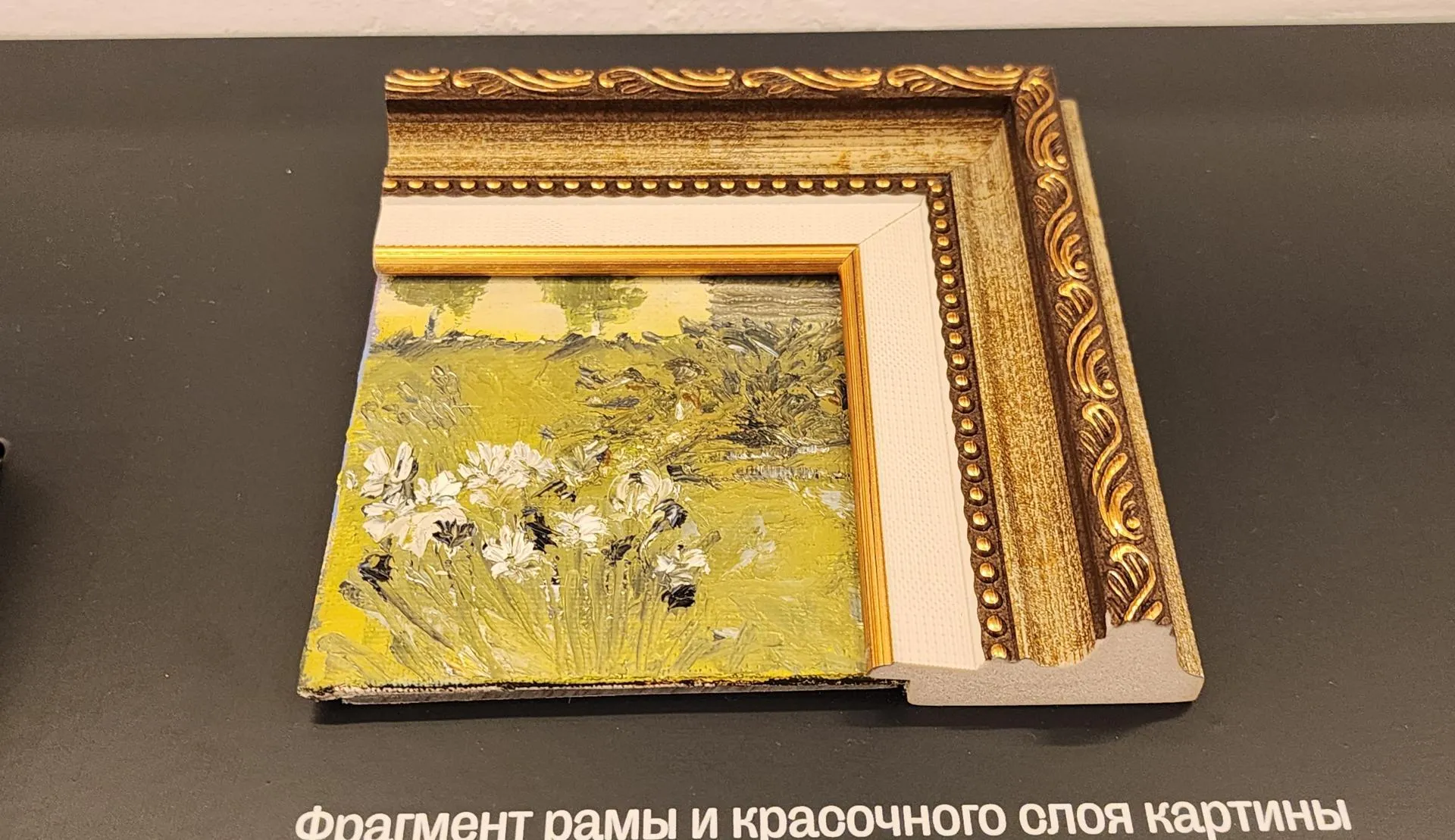 МедиаБанк Подмосковья/Максим Сафронов