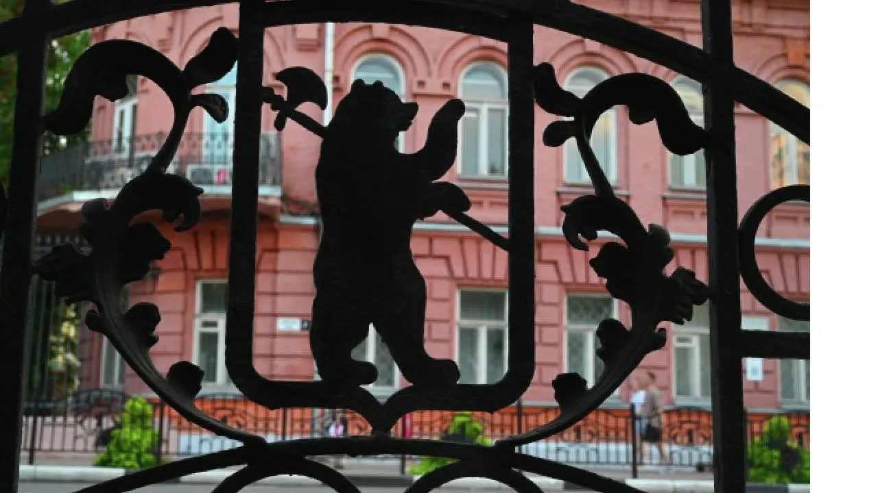В Ленинградской области завершены поиски пропавшей неделю назад женщины: она мертва