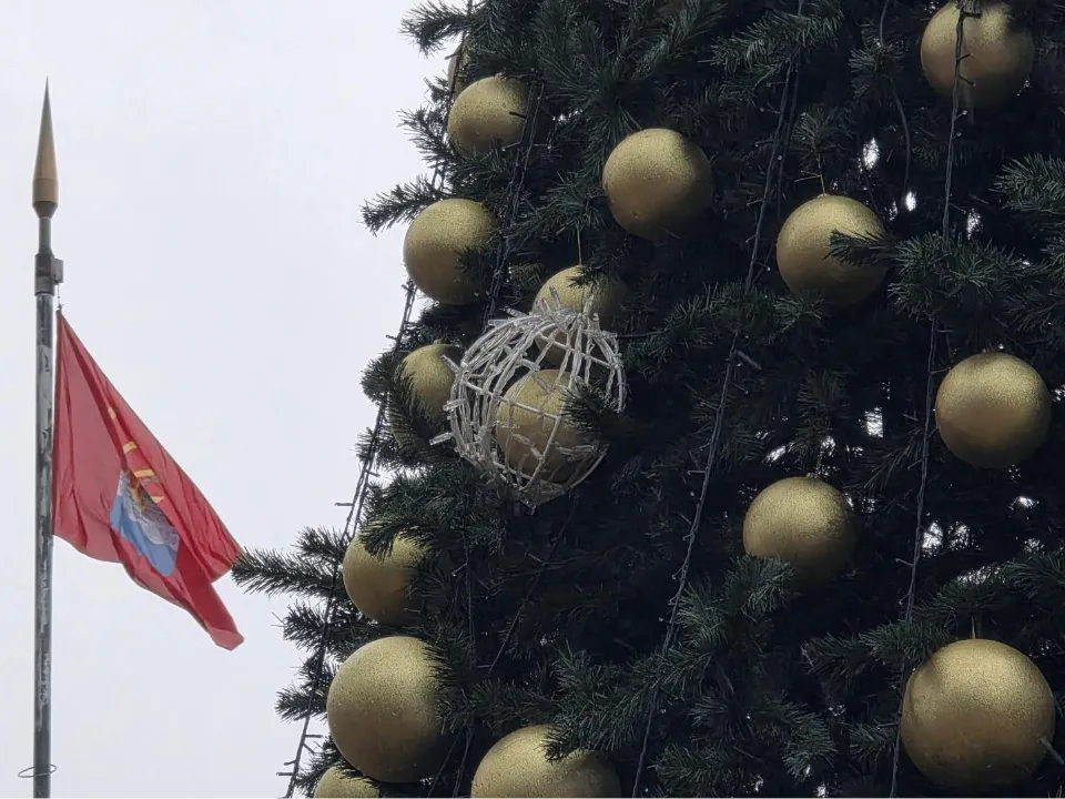 Фото: МедиаБанк Подмосковья/Мария Юдина