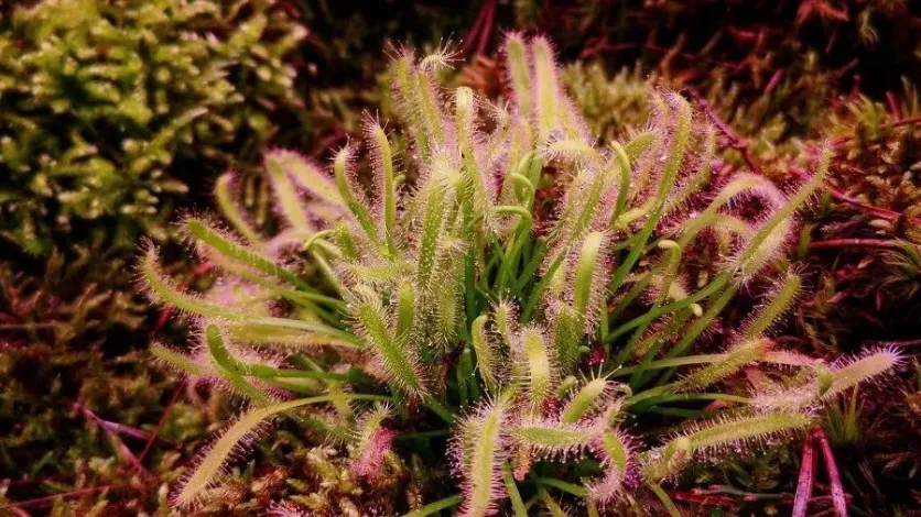 Фото: пресс-служба министерства экологии и природопользования Московской области