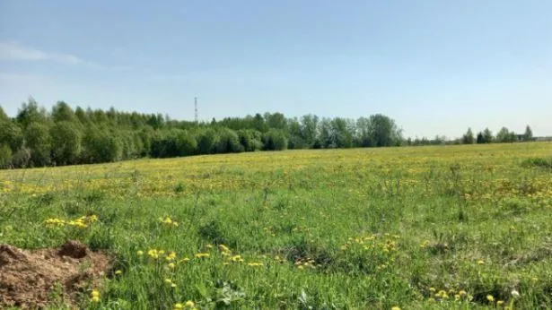 Участок на торгах