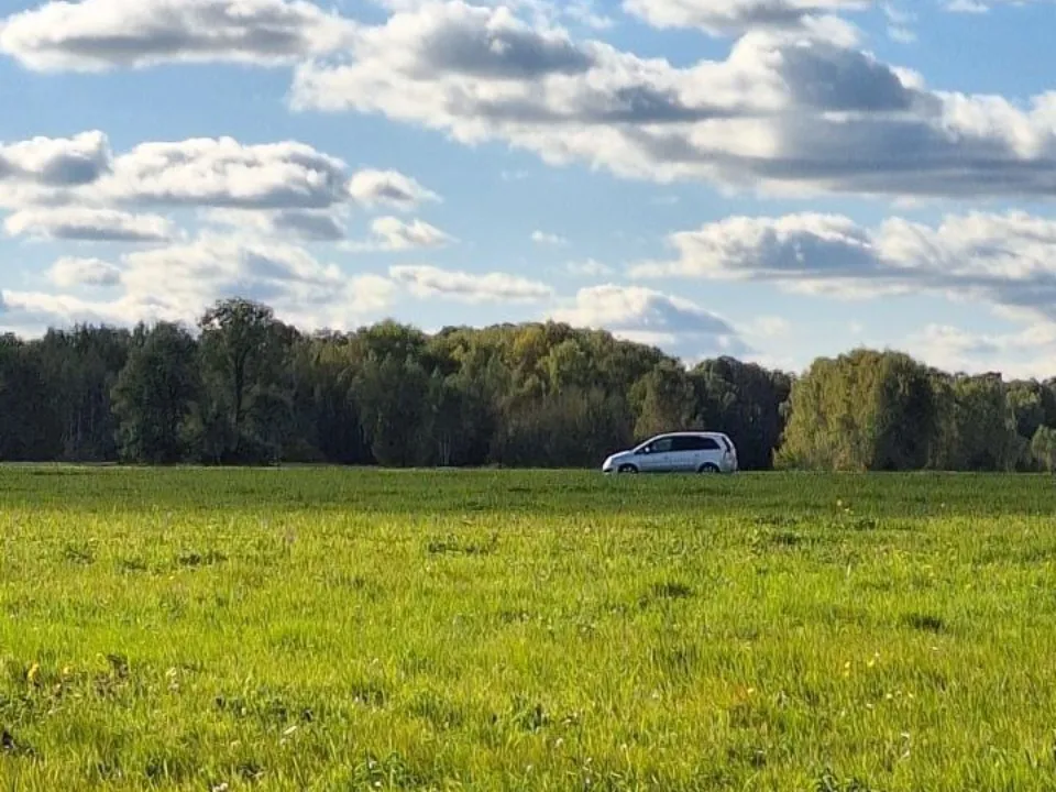 Фото: REGIONS/Максим Зубарев