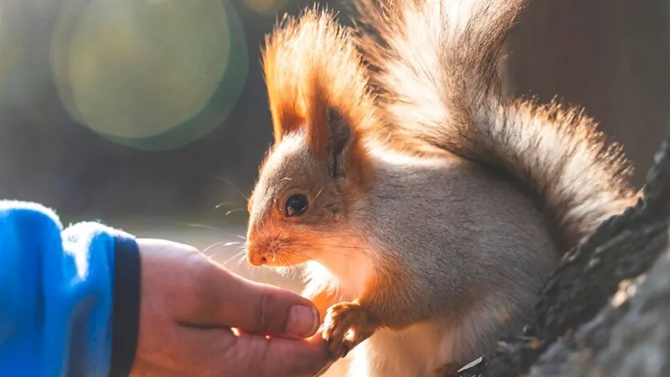 Фото: freepik.com