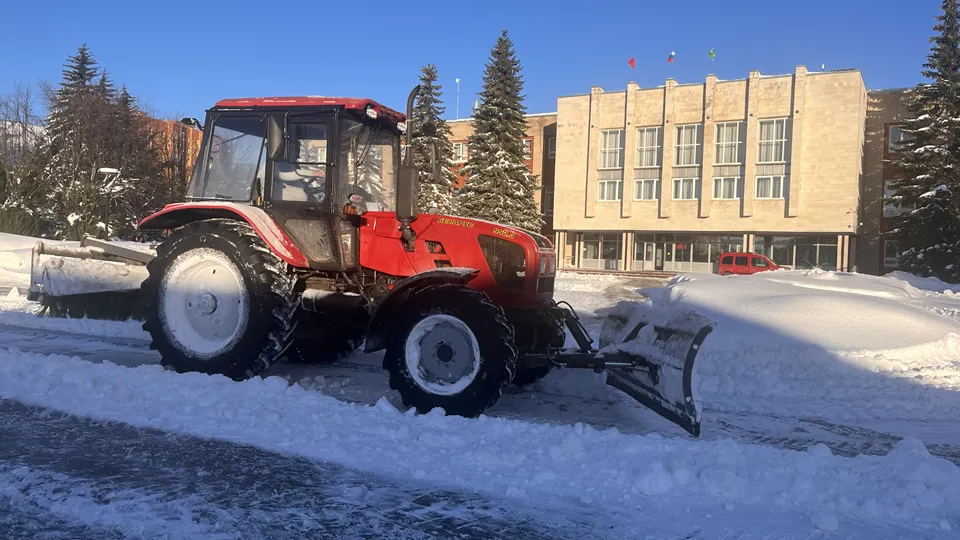 Фото: МедиаБанк Подмосковья/Рунова Татьяна
