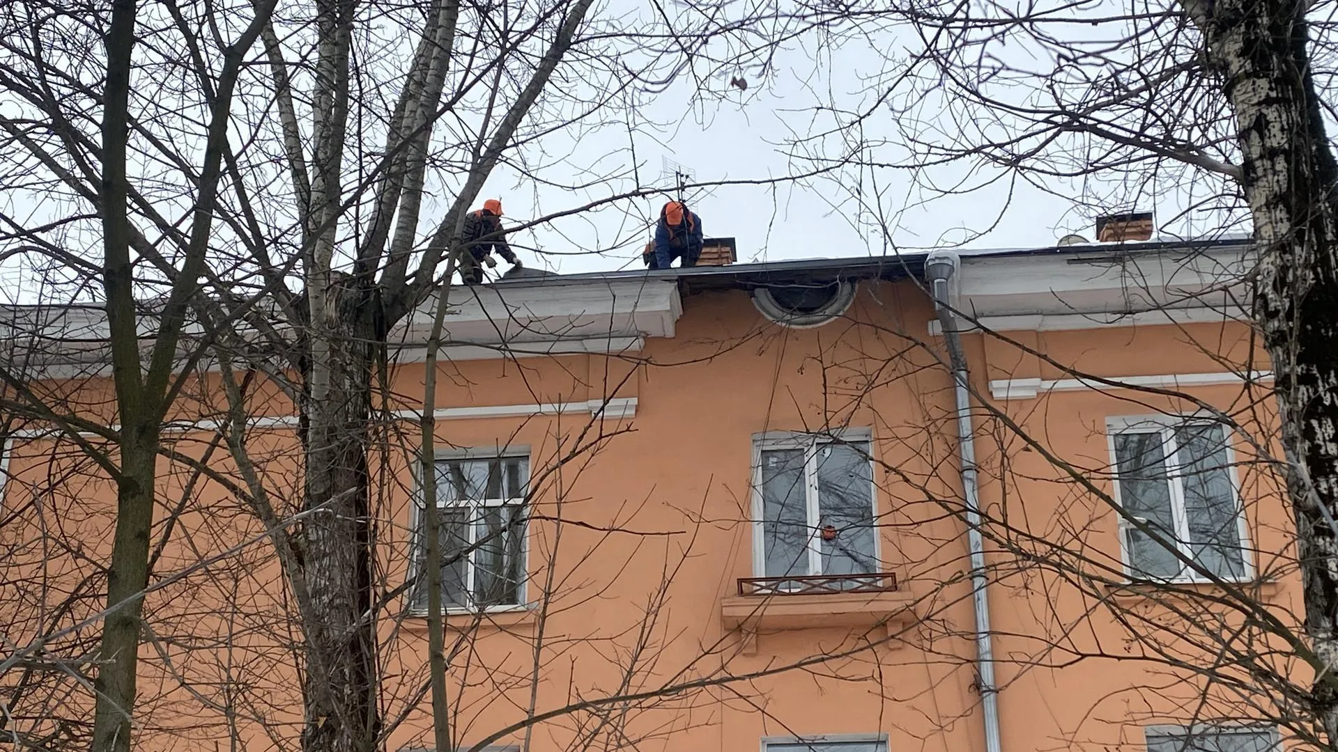 Источник фото: Виктория Селиванова