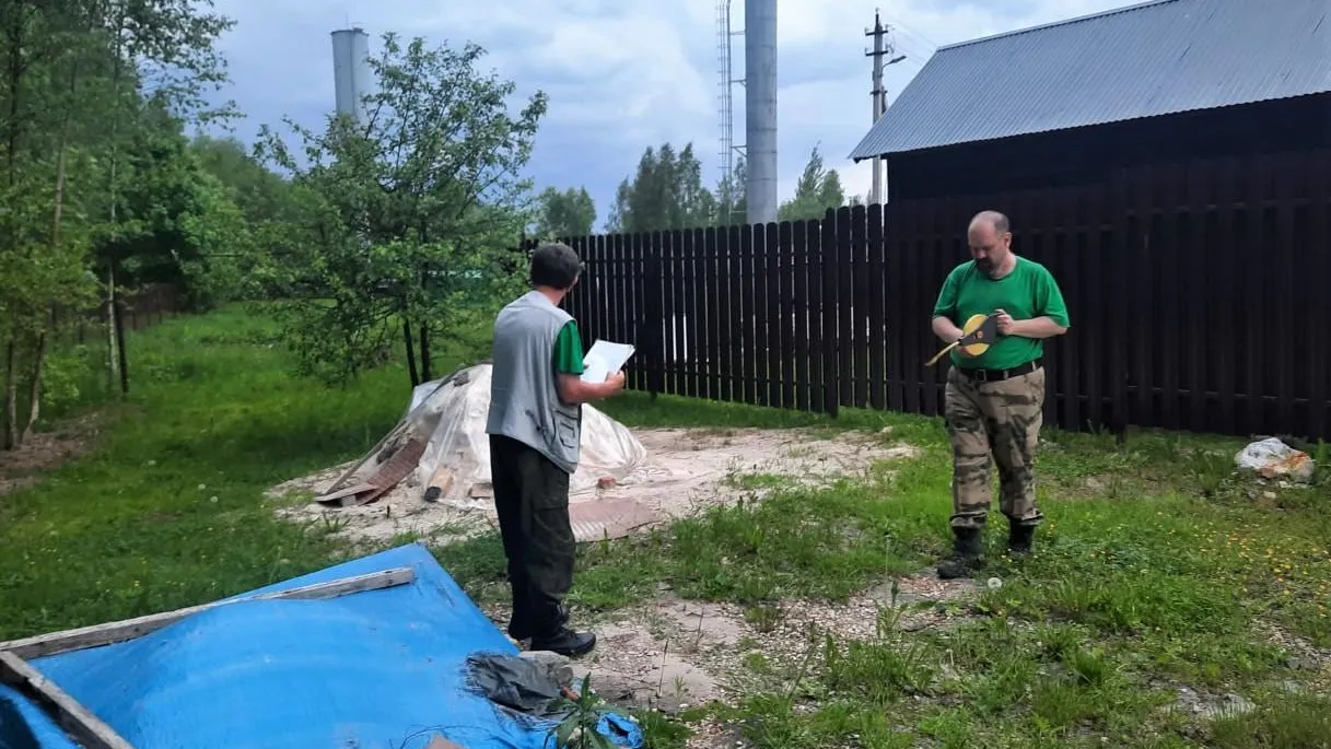 Фото: Комитет лесного хозяйства МО