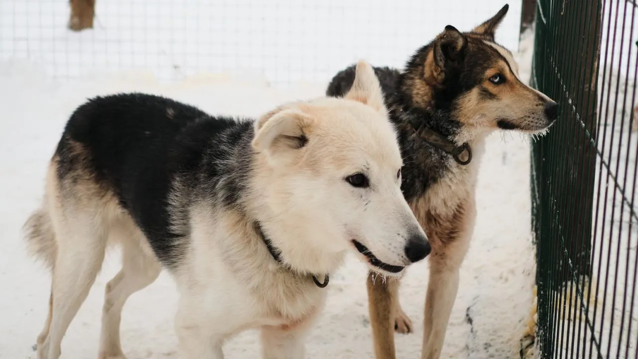 istockphoto.com/Ekaterina Kobalnova
