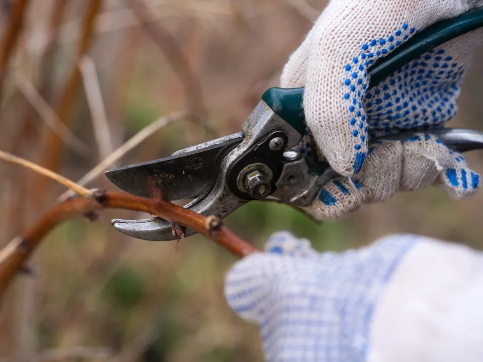 Фото: istockphoto.com/Ekaterina79&nbsp;<br>