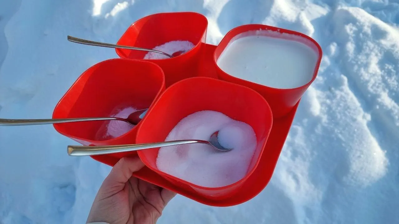 REGIONS/Юлия Алабина