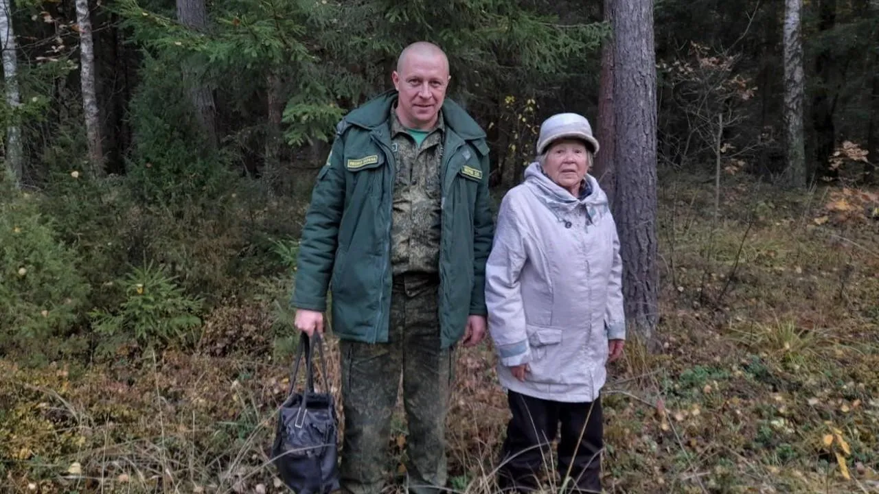 Более 600 человек заблудились в лесах Подмосковья с начала года