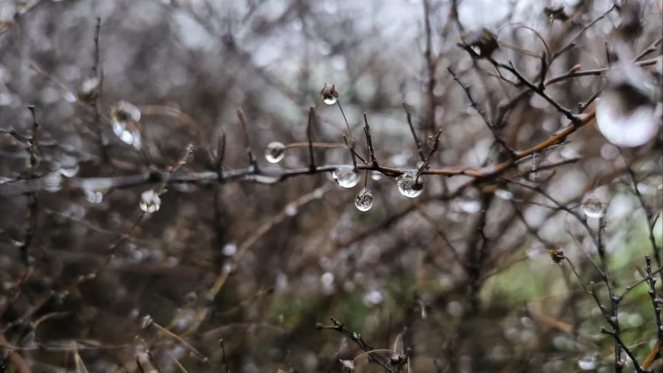 Фото: REGIONS/Роман Малышенко