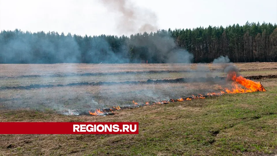 Фото: REGIONS/Евгений Мазепов
