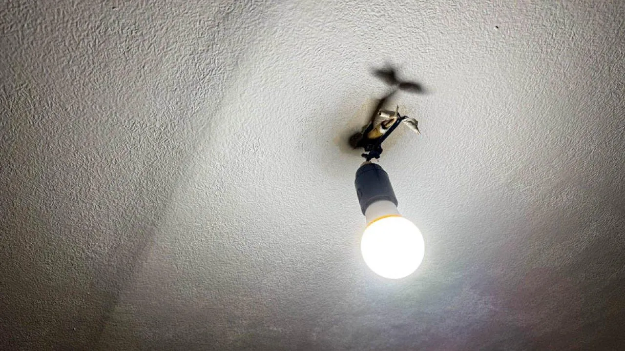 Прохор Шаляпин затеял грандиозный ремонт: советы эксперта помогут собственникам «сталинок» обезопасить квартиры