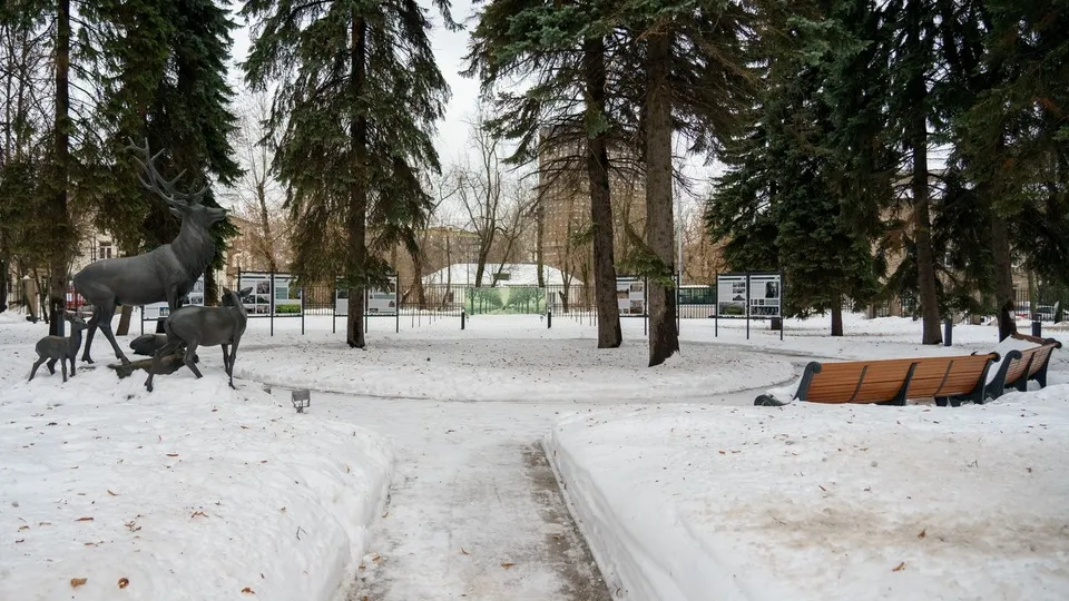 Фото: медиасток.рф