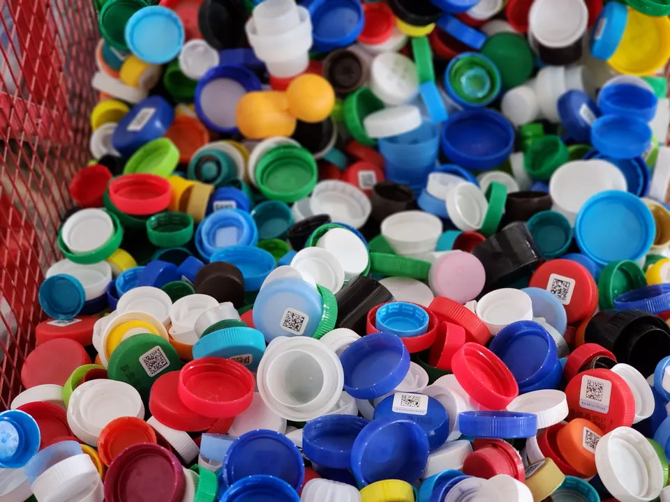 Фото: МедиаБанк Подмосковья/Ксения Пашуто