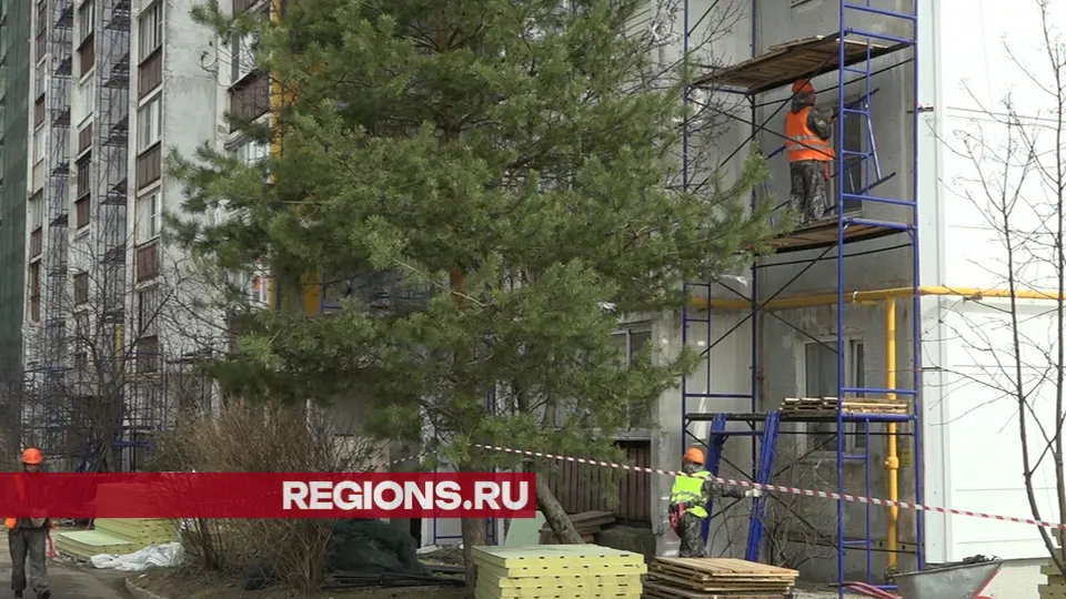 Фото: Елена Аботурова