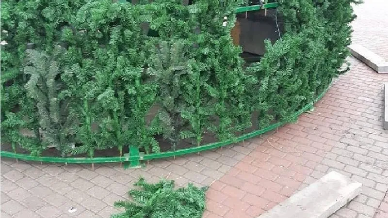 Вандала, который изуродовал главную елку Серпухова, задержала полиция