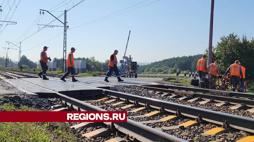 Фото: Андрей Семибратов