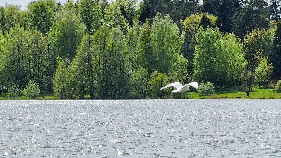 Фото: Ксения Пашуто