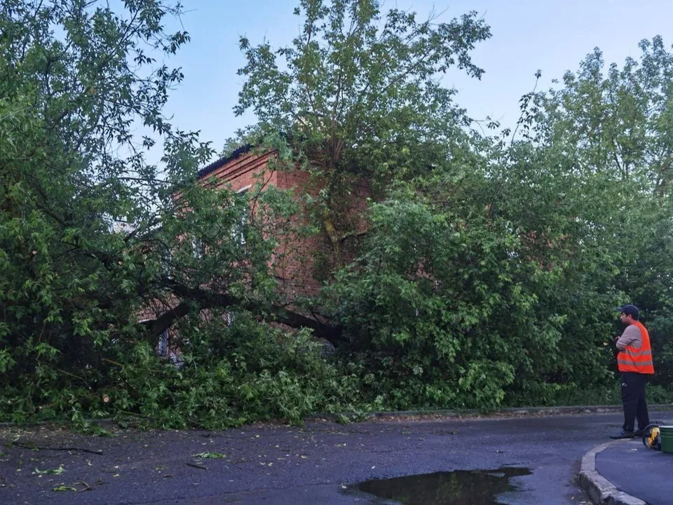 Фото:&nbsp;t.me/podolskadm