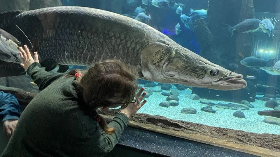 Фото: СЦ «Доверие»