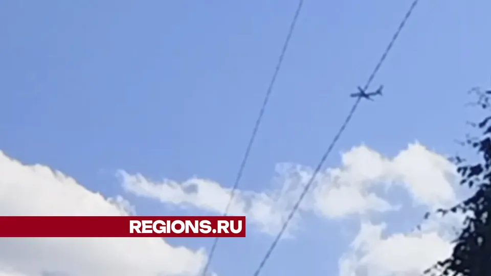 Фото: предоставлено очевидцами