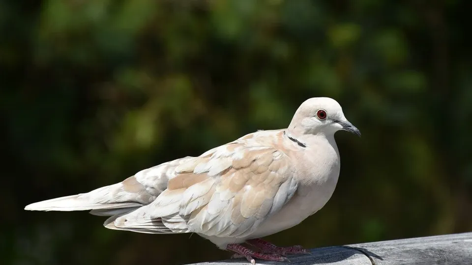 Фото: freepik.com