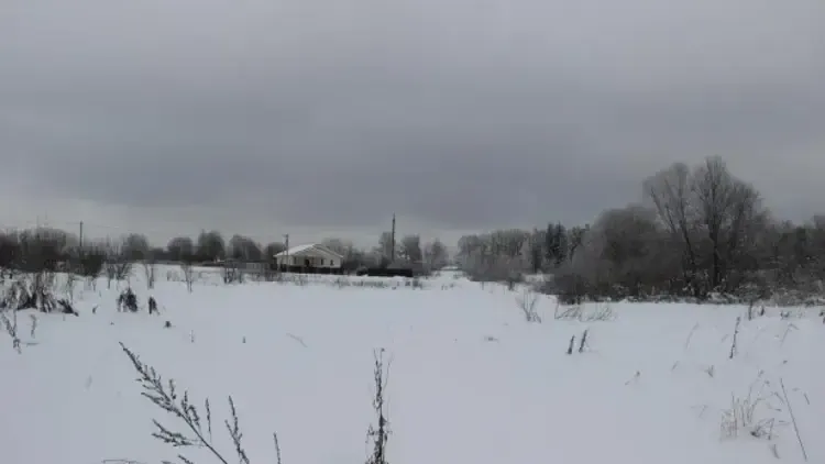 Единый портал торгов Московской области ЕАСУЗ