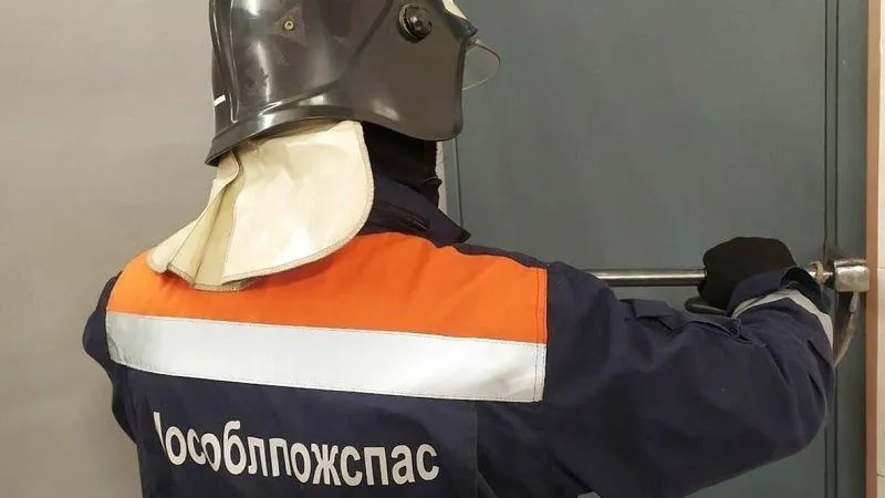 пресс-служба ГКУ МО «Мособлпожспас»